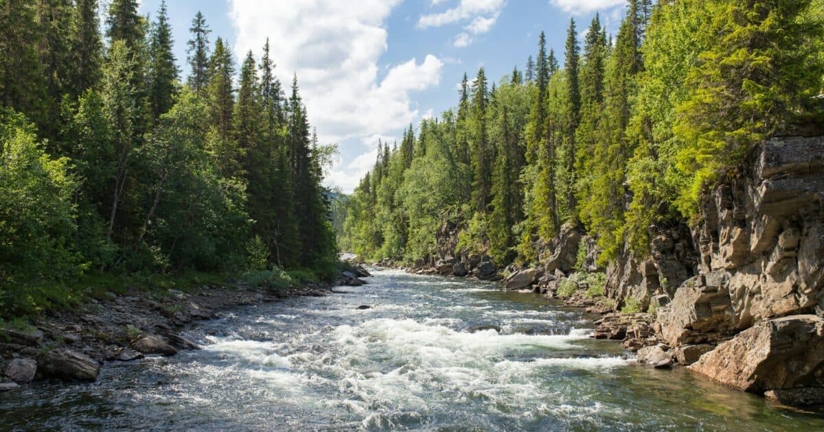 The law has treated nature as an object humans can use and exploit – but that paradigm is shifting